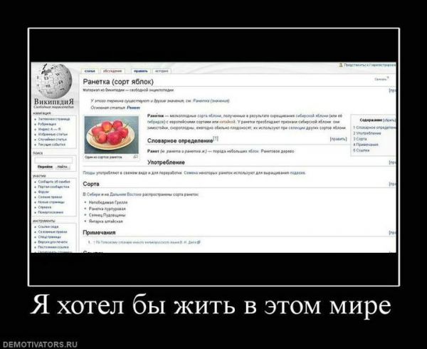 ������ ���